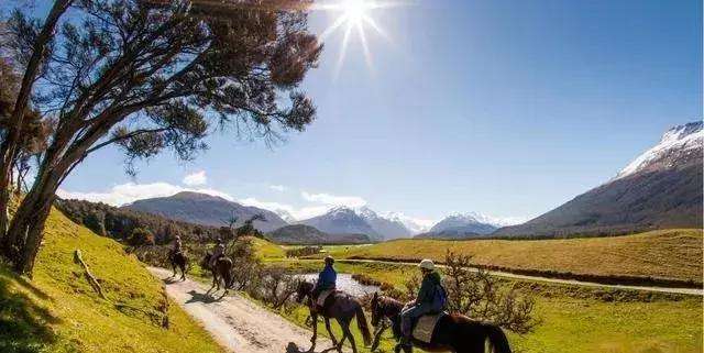 2018新西兰投资移民申请条件及政策详解 (4).jpg